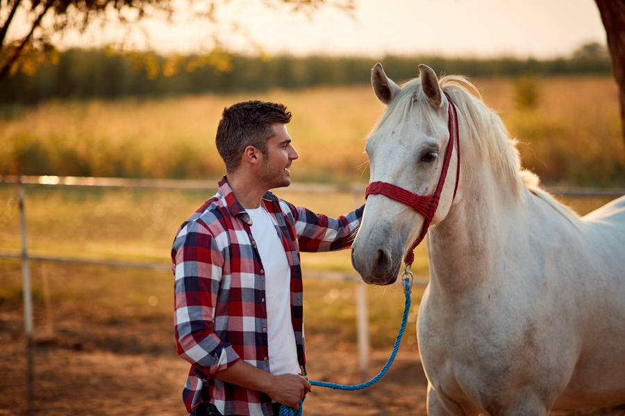 Man participating in horse-assisted recreation therapy for recovery