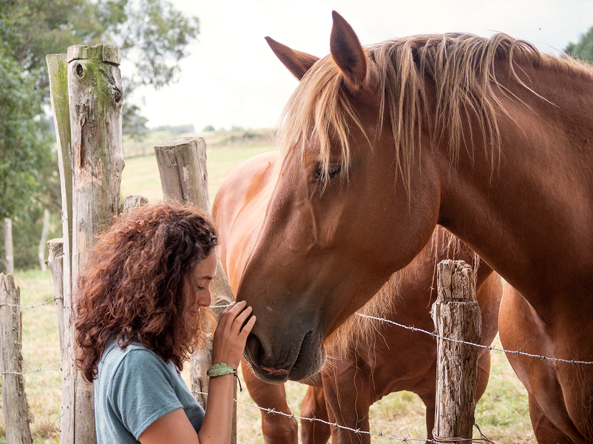 Equine Therapy 1 Woman undergoing equine therapy for addiction in Fresno, County, CA