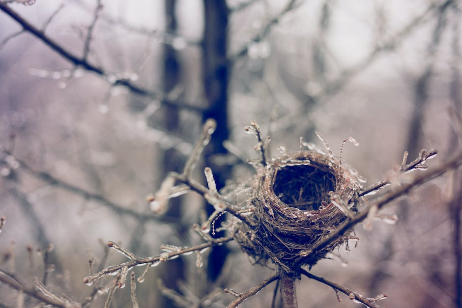 Finding Identity and Overcoming the Empty Nest