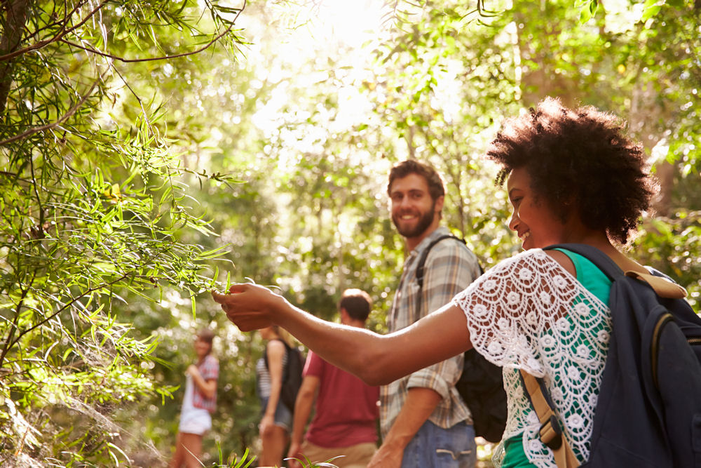 Guided nature walk as part of holistic addiction treatment and recovery